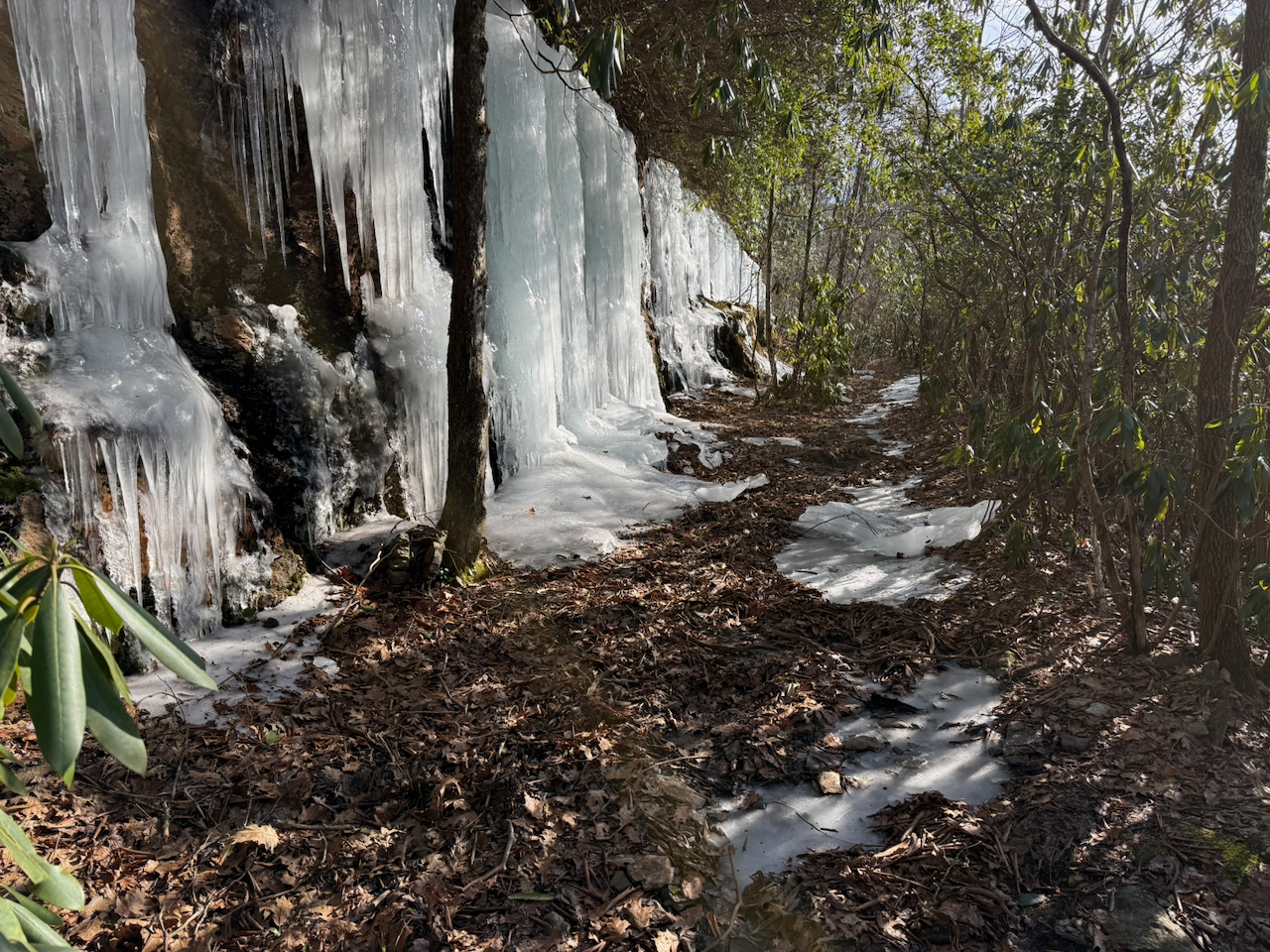 theATL.social Late Winter Update